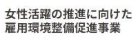 女性活躍の推進に向けた雇用環境整備促進事業