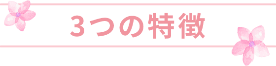 3つの特徴